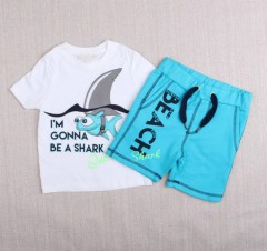 Boys Tshirt And Shorts Set (18 Months to 7 Years )