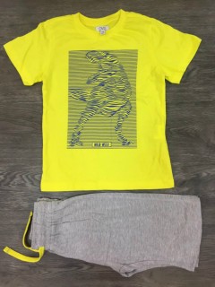 PM Boys T-Shirt And Shorts Set (PM) (4 to 6 Years)
