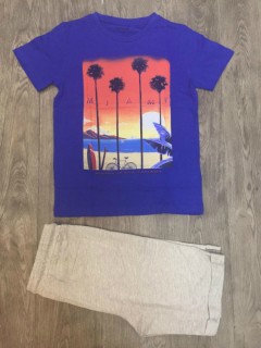 PM Boys T-Shirt And Shorts Set (PM) (5 to 9 Years)