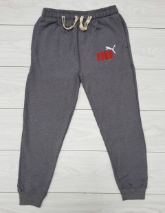 PUMA Mens Pants (GRAY) (30 to 34) 