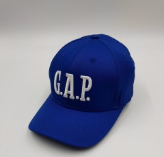 GAP Mens Cap (BLUE) (Free Size)