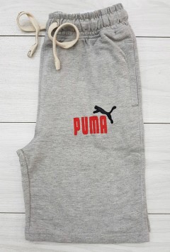 PUMA  Mens Short (LIGHT GRAY) (30 to 36)
