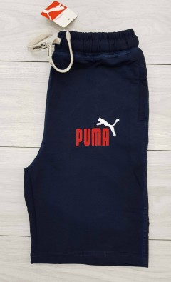 PUMA Mens Short (NAVY) (30 to 36)
