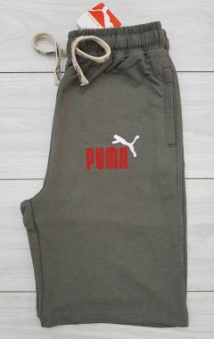 PUMA Mens Short (GRAY) (30 to 36)