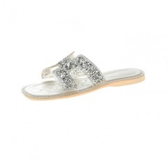 Ladies Shoes (SILVER) (36 to 38)