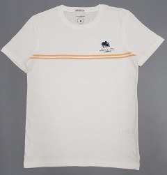 TOM TAILOR Mens T-Shirt (WHITE) (M - L) 