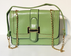Ladies Hand Bag (GREEN) (OS)
